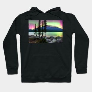 Winter Wonderland Series 10 Hoodie